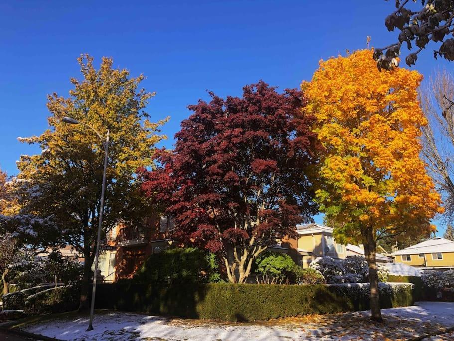 Super Cosy 8Bed & 6Bath In Vancouver Heart Near To Airport Exterior photo
